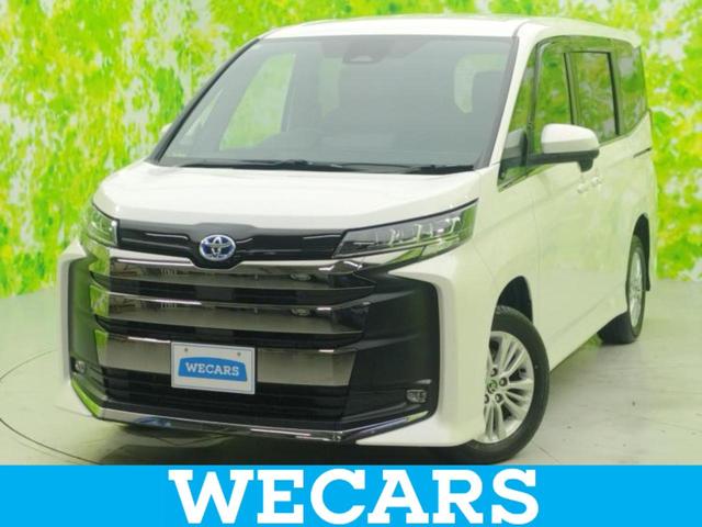 ȥ西 Υ ףĥϥ֥åɣӡݣڡݾڽ񡡥ǥץ쥤ǥͰ