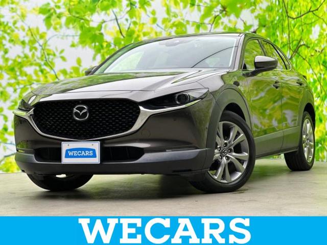 ףţãңӡʥˤ񣲣ŹŸ ȤԹ塢ξĺʤ礬ޤŹˤ礻 1