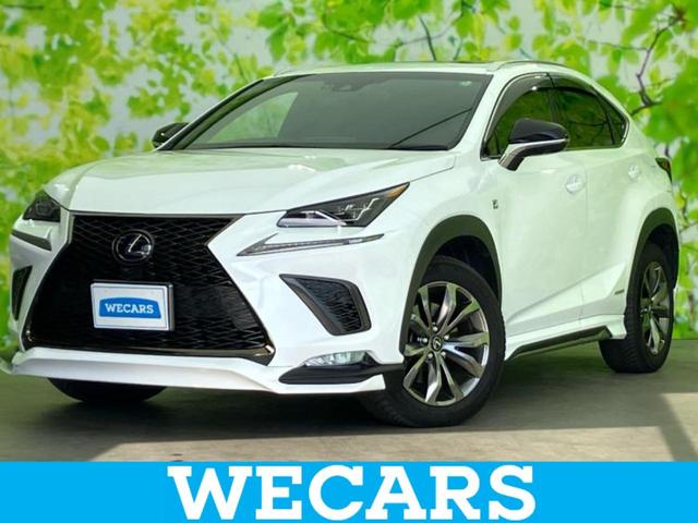 쥯 Σ Σأ衡ƥݡġ롼ա