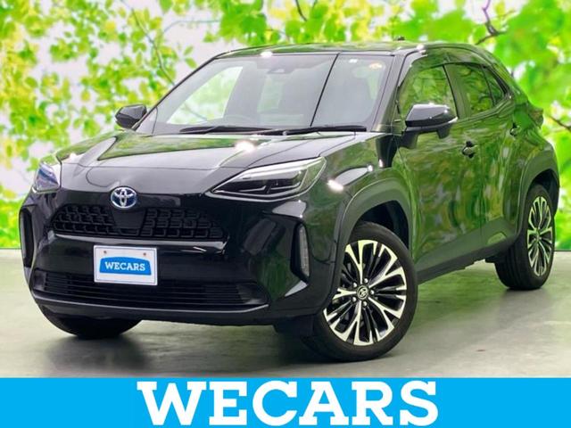 ȥ西 ꥹ ϥ֥åɣڡݾڽ񡡥ǥץ쥤ǥͰ