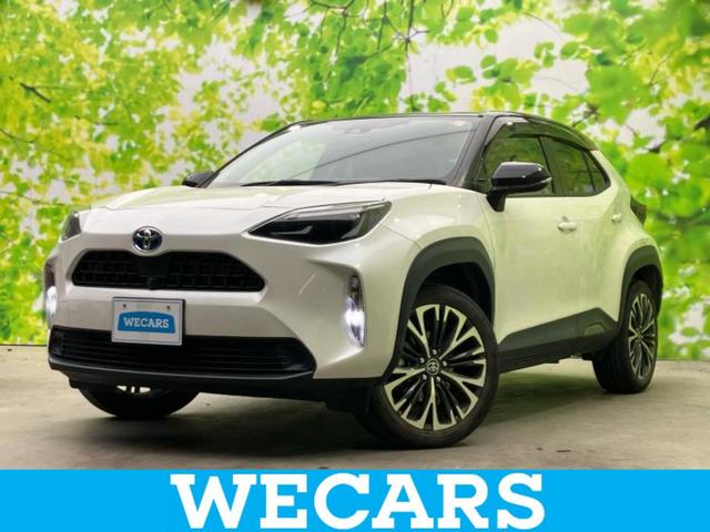 ȥ西 ꥹ ϥ֥åɣǡݾڽ񡡥ǥץ쥤ǥͰ