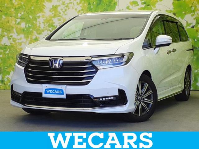 ۥ ǥåϥ֥å ȣţ֥֥롼ȡݾڽ񡡽