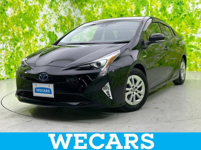 ȥ西 ץꥦ ӥեƥץ饹ݾڽ񡡽