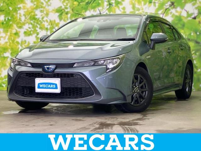 ףţãңӡʥˤ񣲣ŹŸ ȤԹ塢ξĺʤ礬ޤŹˤ礻 1