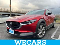 ޥĥãءݣӥץƥ֥ġ󥰥쥯󡡽ӣĥʥӡͰ