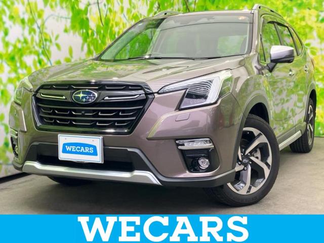 tHX^[(Xo) SvcAhoX@T[t^ۏ؏^@WC`@rcir^fW^Ci[~[^ACTCg^V[gq[^[@Oȁ^ԐEh~xVXe^V[g@^dobNhA^hCuR[_[@O@obNJ Îԉ摜