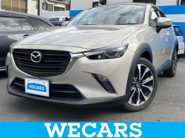 ޥĥ ãءݣ ӡݾڽ񡡽ӣĥʥ