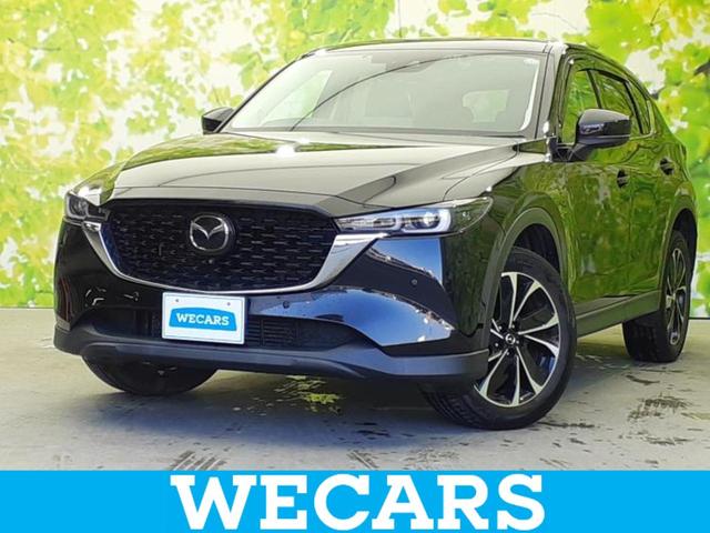 ףţãңӡʥˤ񣲣ŹŸ ȤԹ塢ξĺʤ礬ޤŹˤ礻 1