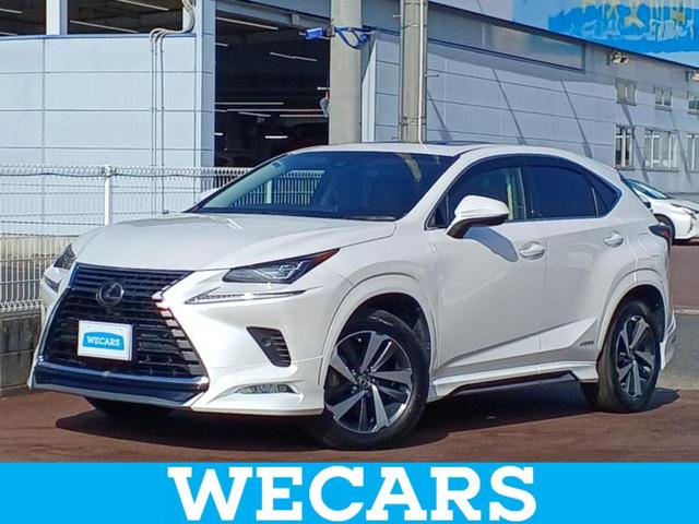 mw(NTX) mwROO@hpbP[W@T[t^GA^ۏ؏^@POC`@rcir^vNbVZ[teB^V[gq[^[@Oȁ^ԐEh~xVXe^V[g@^dobNhA^wbhv@kdc@tGA Îԉ摜