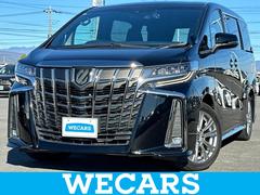 ȥ西եɡӥץɡʥ䡡ݾڽ񡡥ǥץ쥤ǥܥʥӣ