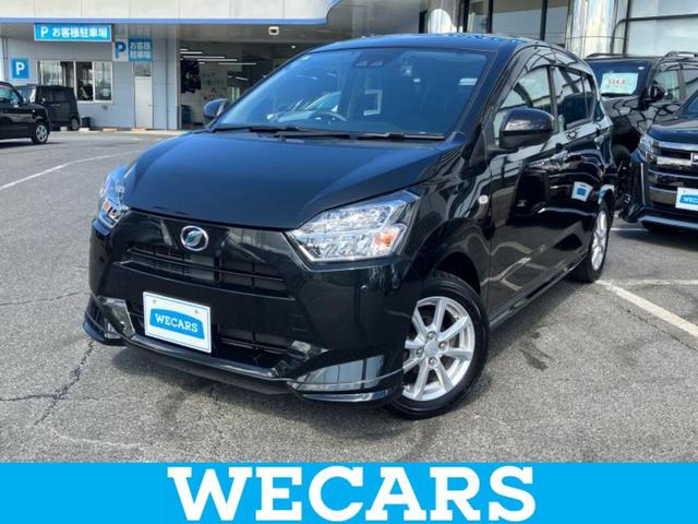 ϥ ߥ饤 ǡӣʥ䡡ݾڽ