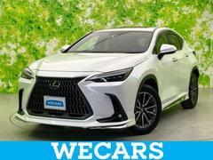 NX NX250バージョンL 新品タイヤ/サンルーフ/純正エアロ/保証書/純正 SDナビ/衝突安全装置/シートエアコン/パノラミックビューモニター/車線逸脱防止支援システム/シート フルレザー 革シート 衝突被害軽減システム 中古車画像
