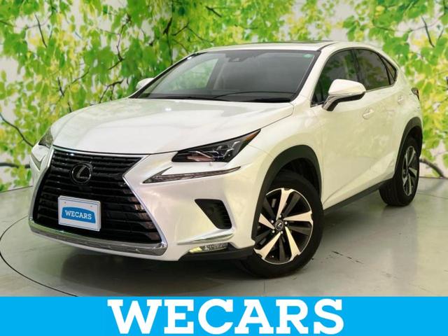 ףţãңӡʥˤ񣲣ŹŸ ȤԹ塢ξĺʤ礬ޤŹˤ礻 1