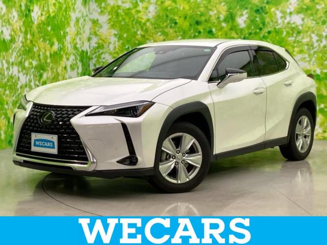 쥯 գ գأСáݾڽ񡡽