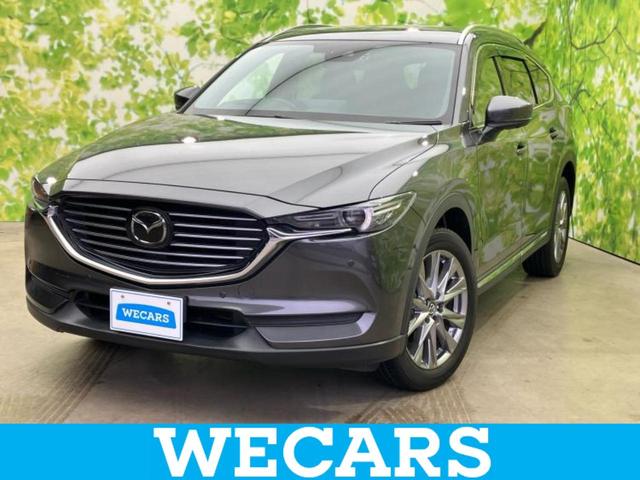 ＣＸ−８(マツダ) ２５Ｓプロアクティブ　新品タイヤ／保証書／純正　ＳＤナビ／アイアクティブセンス（マツダ）／シートヒーター　全席／３６０°ビューモニター／車線逸脱防止支援システム／パーキングアシスト　バックガイド／電動バックドア　電動シート 中古車画像