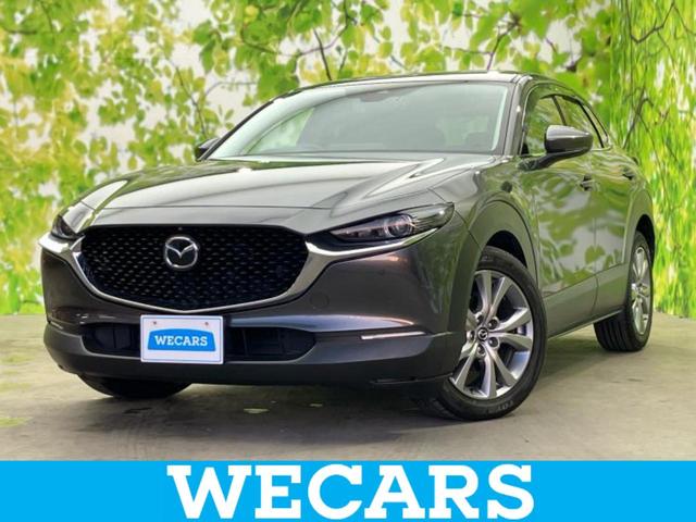 ףţãңӡʥˤ񣲣ŹŸ ȤԹ塢ξĺʤ礬ޤŹˤ礻 1