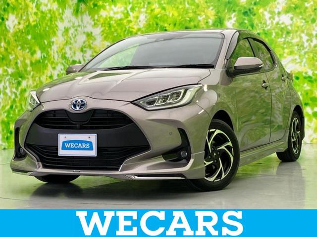 ȥ西 ꥹ ϥ֥åɣǡǥꥹǥץ쥤ǥȥ西եƥ