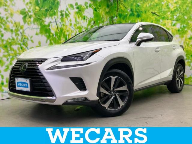 ףţãңӡʥˤ񣲣ŹŸ ȤԹ塢ξĺʤ礬ޤŹˤ礻 1