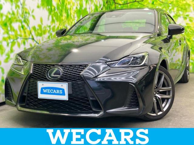 쥯 ɣ ɣӣ衡ƥݡġʥ䡡ݾڽ