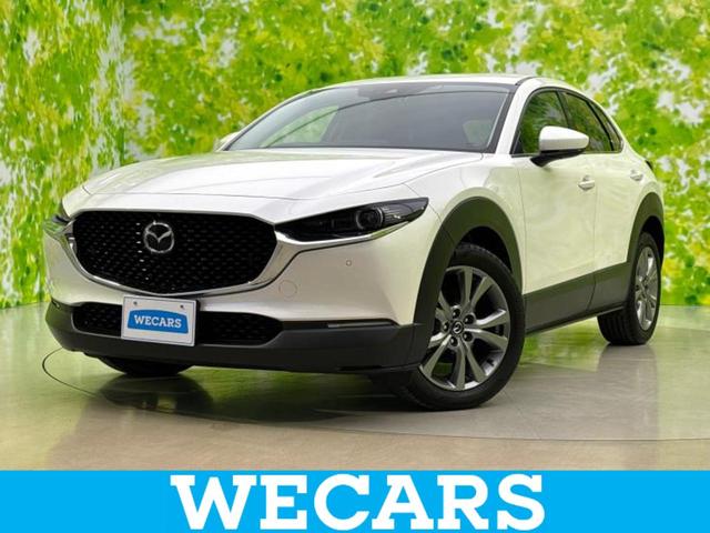 bw|RO(}c_) Svc@wcvANeBuc[OZNV@ۏ؏^@rcir^ՓˈSu^V[gq[^[^RUO°r[j^[^ԐEh~xVXe^dobNhA^hCuR[_[@^wbhv@kdc^aڑ@Svc Îԉ摜