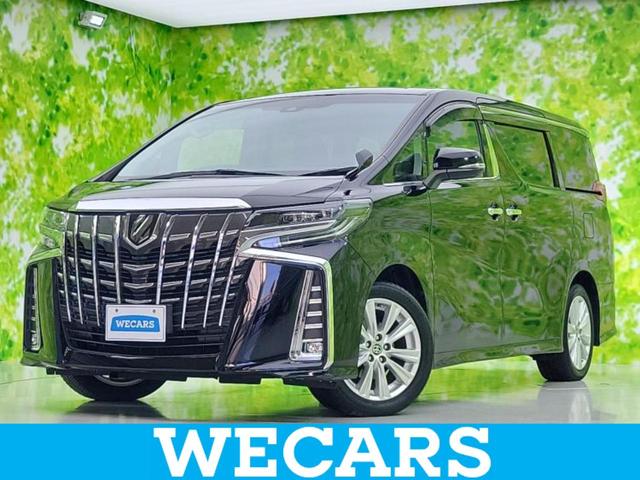 ȥ西 ե ӡʥ䡡ǥץ쥤ǥȥ西եƥ