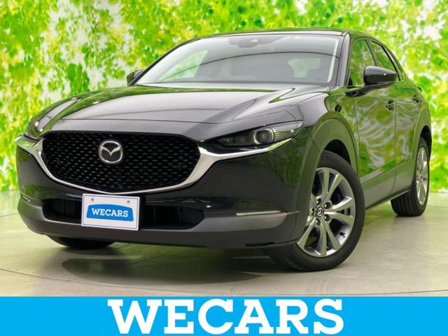 bw|RO(}c_) Svc@wcvANeBuc[OZNV@anrd^ۏ؏^@rcir^ՓˈSu^V[gq[^[@Oȁ^RUO°r[j^[^ԐEh~xVXe^dobNhA^hCuR[_[@O^wbhv@kdc@obNJ Îԉ摜