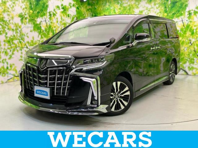 ȥ西 ե ӡåѥå롼ա