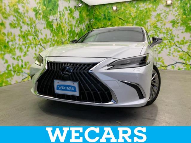 ףţãңӡʥˤ񣲣ŹŸ ȤԹ塢ξĺʤ礬ޤŹˤ礻 1