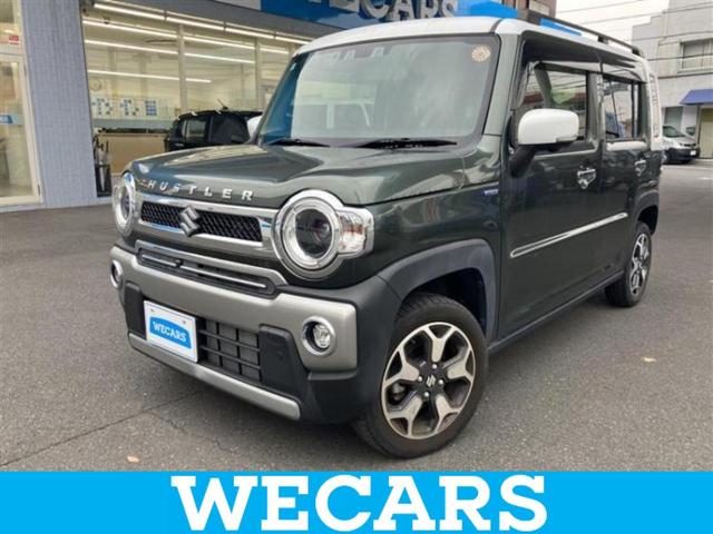  ϥ顼 ʥ륿ܡʥ䡡ݾڽ񡡽