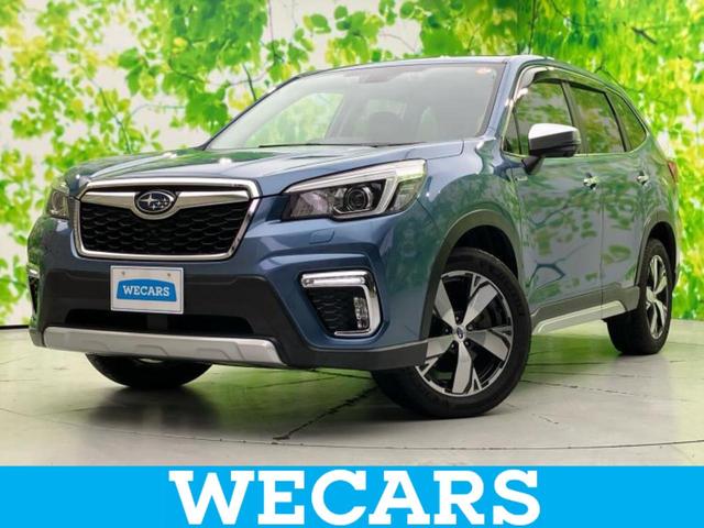 tHX^[(Xo) SvcAhoX@ۏ؏^@rcir^ՓˈSu^V[gq[^[^ԐEh~xVXe^V[g@tU[^dobNhA^wbhv@kdc^aڑ^dsb^dact`ar@vV[g Îԉ摜