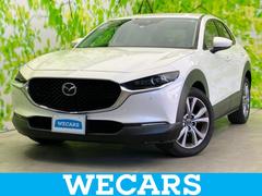 CX-30 20Sプロアクティブツーリングセレクション 保証書/純正 SDナビ/アイアクティブセンス(マツダ)/シートヒーター 前席/360°ビューモニター/車線逸脱防止支援システム/シート フルレザー/電動バックドア/ヘッドランプ LED 革シート 中古車画像