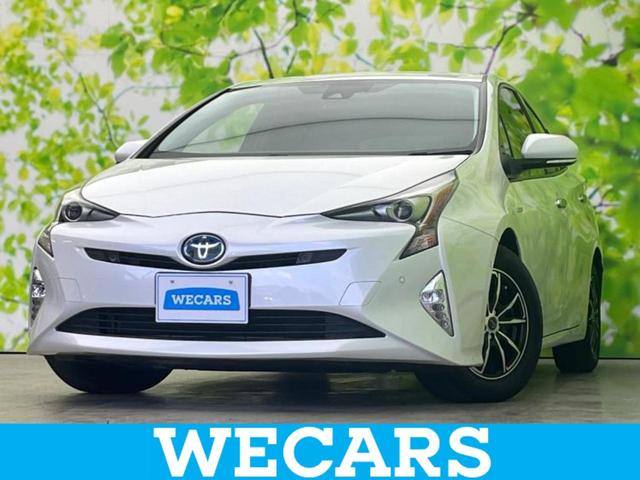 ȥ西 ץꥦ ӥեƥץ饹ҳӣĥʥ