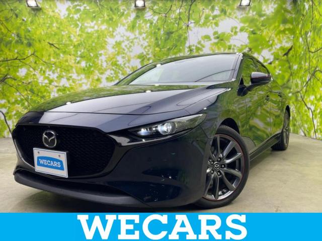 ףţãңӡʥˤ񣲣ŹŸ ȤԹ塢ξĺʤ礬ޤŹˤ礻 1