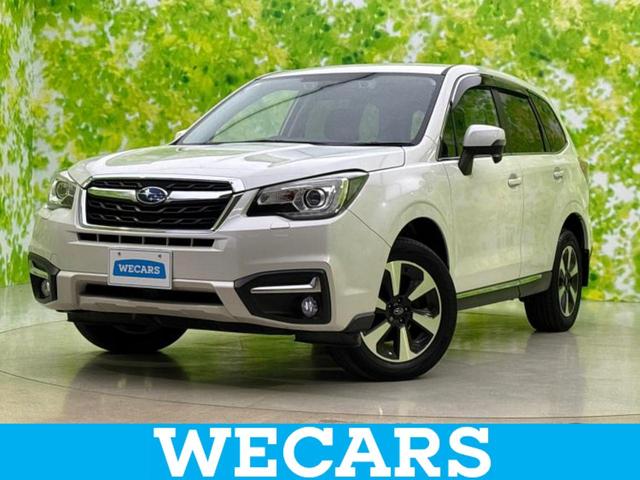 tHX^[(Xo) SvcX^C_@Vi^C^ۏ؏^ЊO@rcir^ՓˈSu^V[gq[^[^ԐEh~xVXe^V[g@n[tU[^wbhv@kdc^dsb^dact`ar^h~u^AChOXgbv Îԉ摜