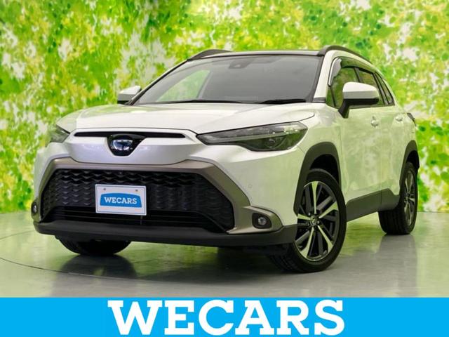 ȥ西 饯 ϥ֥åɣڡ롼աǥץ쥤ǥȥ西եƥ