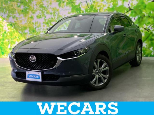 ףţãңӡʥˤ񣲣ŹŸ ȤԹ塢ξĺʤ礬ޤŹˤ礻 1