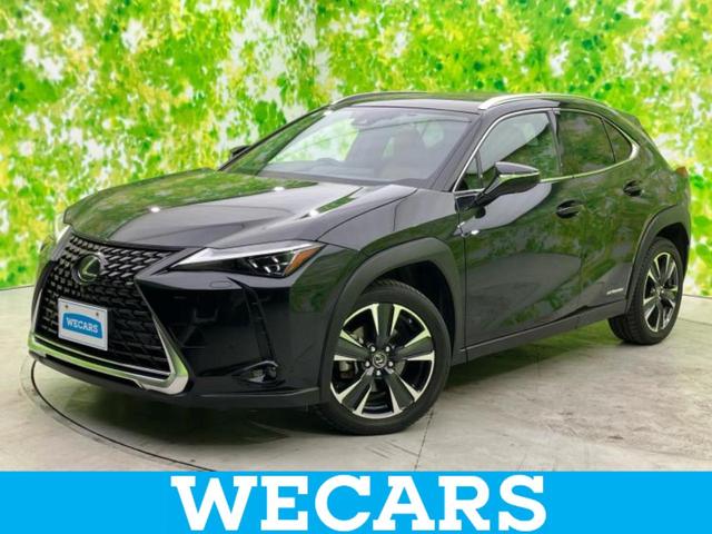 ףţãңӡʥˤ񣲣ŹŸ ȤԹ塢ξĺʤ礬ޤŹˤ礻 1