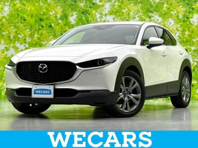 ףţãңӡʥˤ񣲣ŹŸ ȤԹ塢ξĺʤ礬ޤŹˤ礻 1