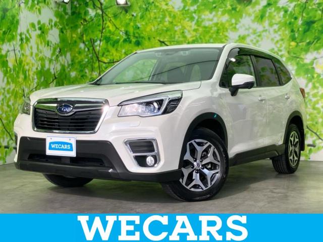 tHX^[(Xo) Svcc[O@@WC`@rcir^ACTCg^V[gq[^[@Sȁ^ԐEh~xVXe^hCuR[_[@^wbhv@kdc^aڑ^dsb^dact`ar^h~u Îԉ摜