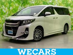 �ȥ西������ե����ɡ��ӡ��åѥå����������ʥ����䡡����������