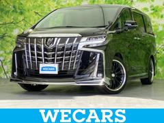 �ȥ西������ե����ɡ��ӡ��åѥå����������ʥ����䡡�ĥ���ࡼ��롼��