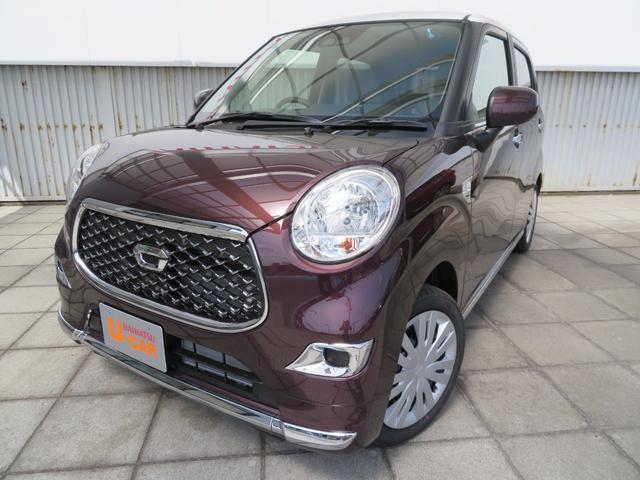 スタイルX SA3 届出済未使用車 デザインフィルムトップ(1枚目)