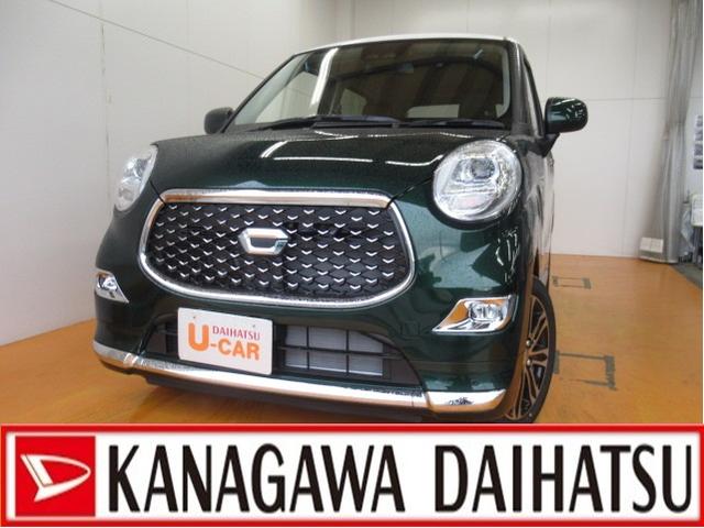 スタイルG プライムコレクション SAIII 禁煙車(1枚目)