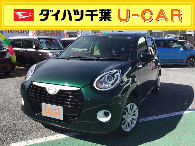 シルク SAIII(1枚目)