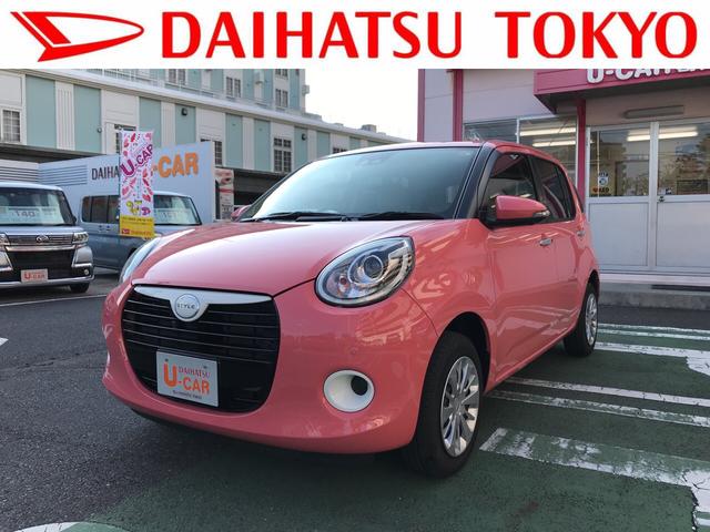スタイル SAIII パノラマモニター対応(1枚目)
