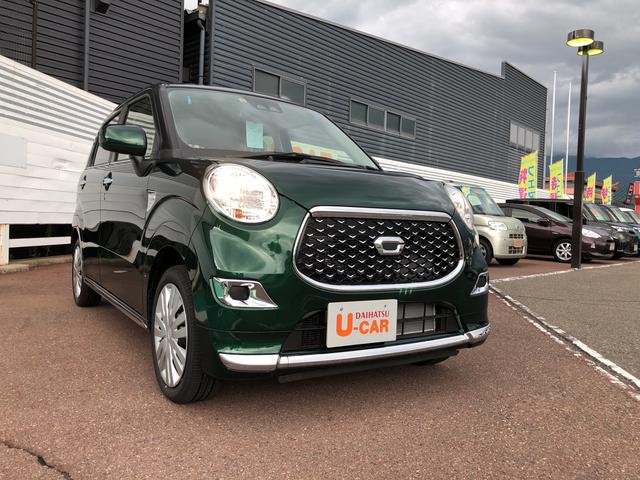スタイルX リミテッド SAIII(1枚目)