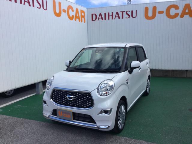 スタイルX リミテッド SAIII(1枚目)