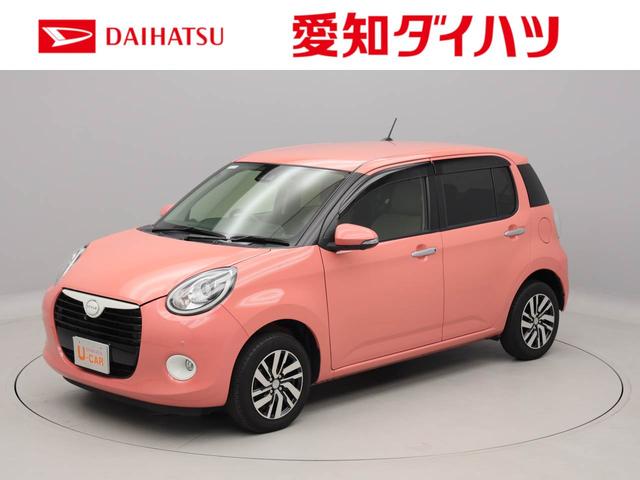 スタイル SAIII(1枚目)
