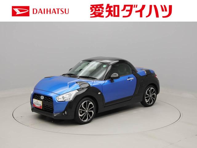 エクスプレイ　Ｓ　雹害車