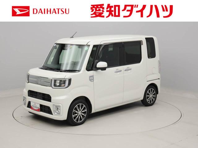 ＧターボＳＡＩＩＩ　雹害車